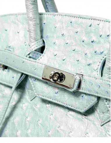 Precious Clouse Luxurt Ostrich Ladies' Bag