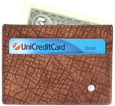 Portefeuille de Cartes de Crédit en Hippopotame