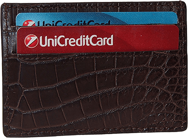 Matte Alligator Credit Card Case