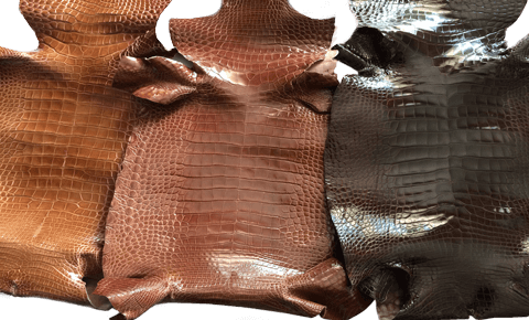 Glossy Alligator Leather Panel