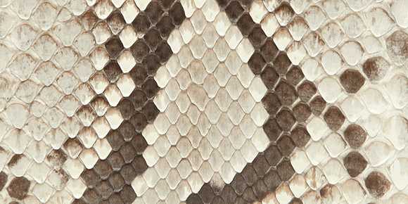 Diamond Python Leather