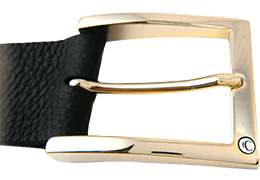 Shiny Gold Classic Buckle